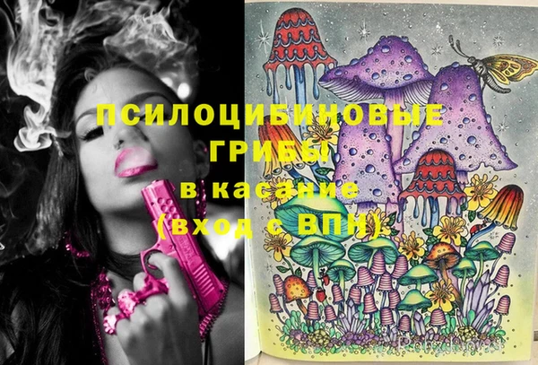 дмт Ступино