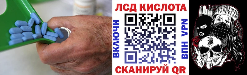 ЛСД экстази ecstasy  darknet как зайти  Судогда 