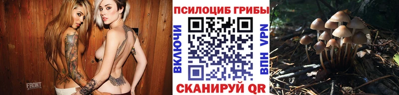 hydra зеркало  Судогда  Галлюциногенные грибы мухоморы 